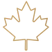 canadian maple leaf icon